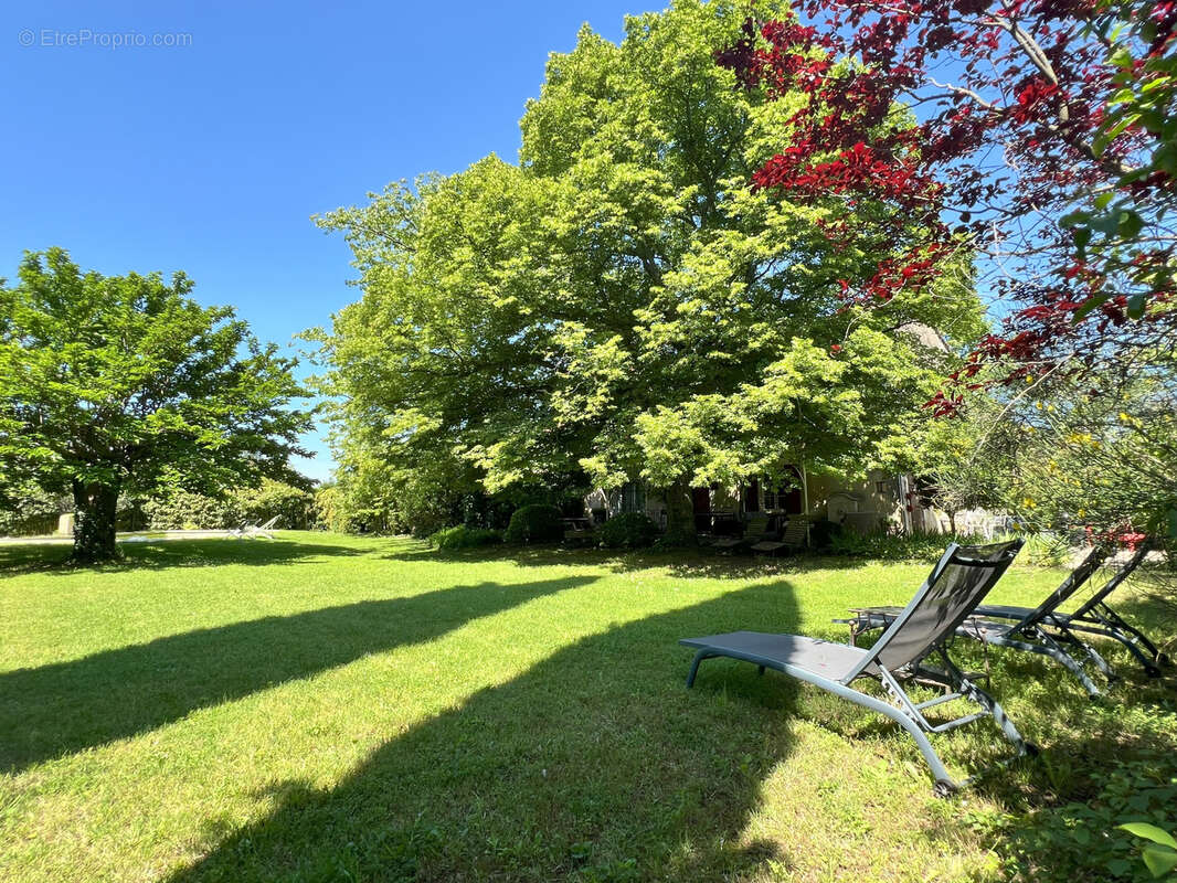 Maison à PERNES-LES-FONTAINES