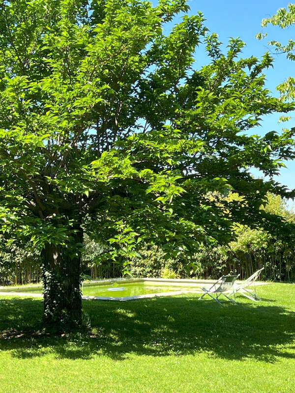 Maison à PERNES-LES-FONTAINES