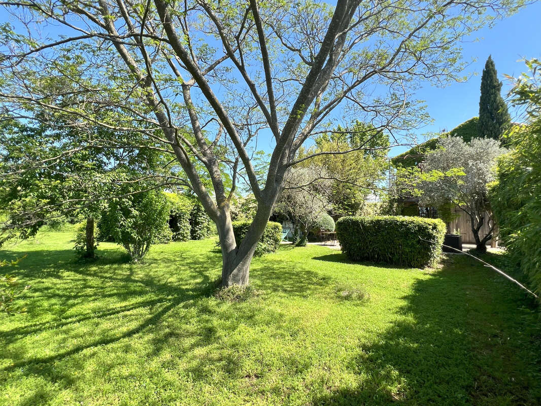 Maison à PERNES-LES-FONTAINES