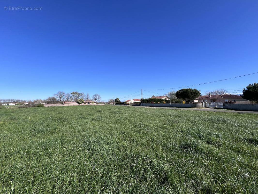 Terrain à LODES