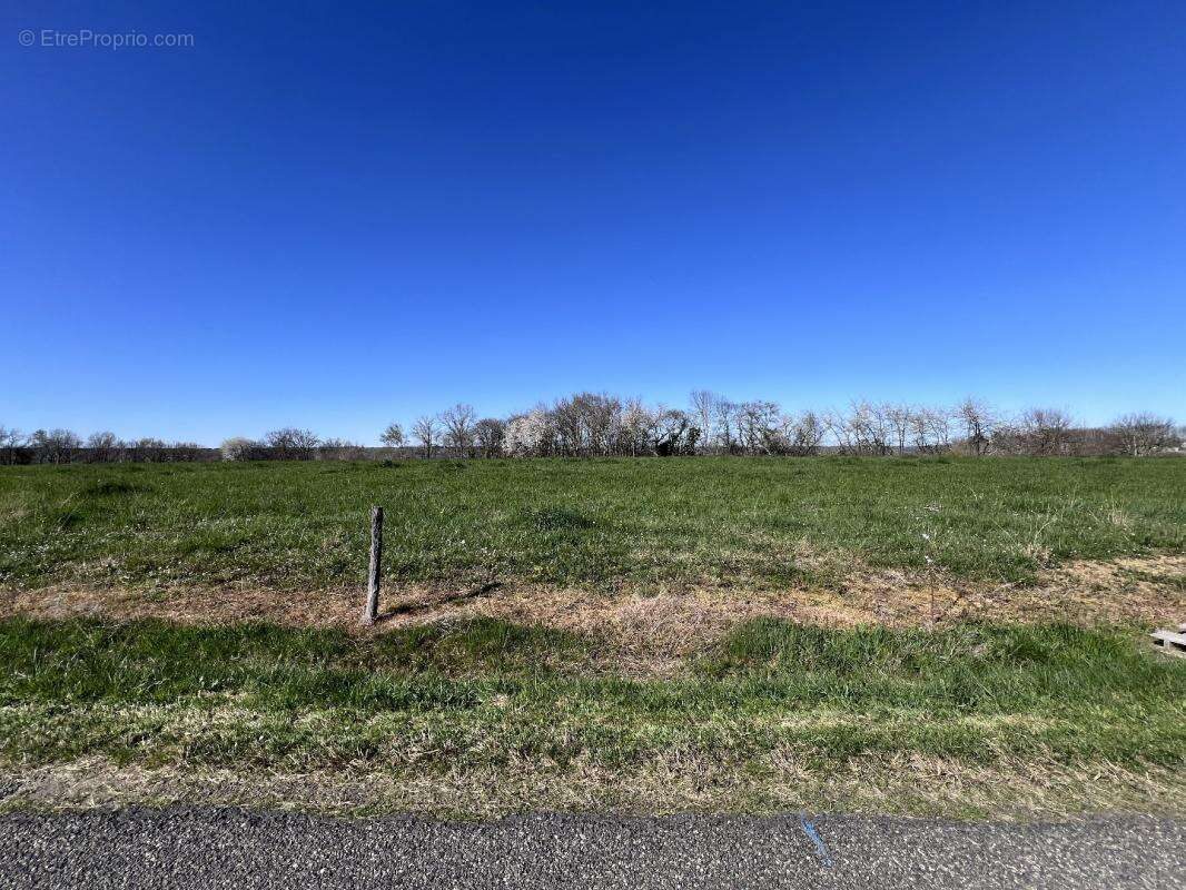 Terrain à LODES