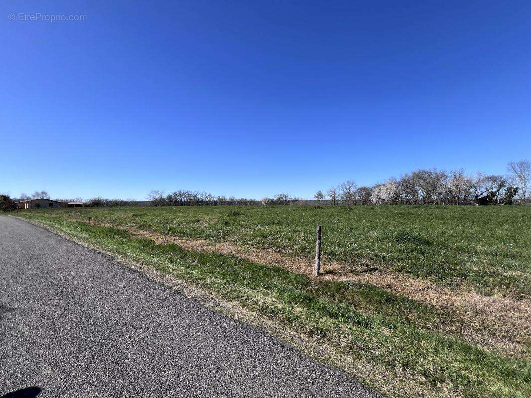 Terrain à LODES