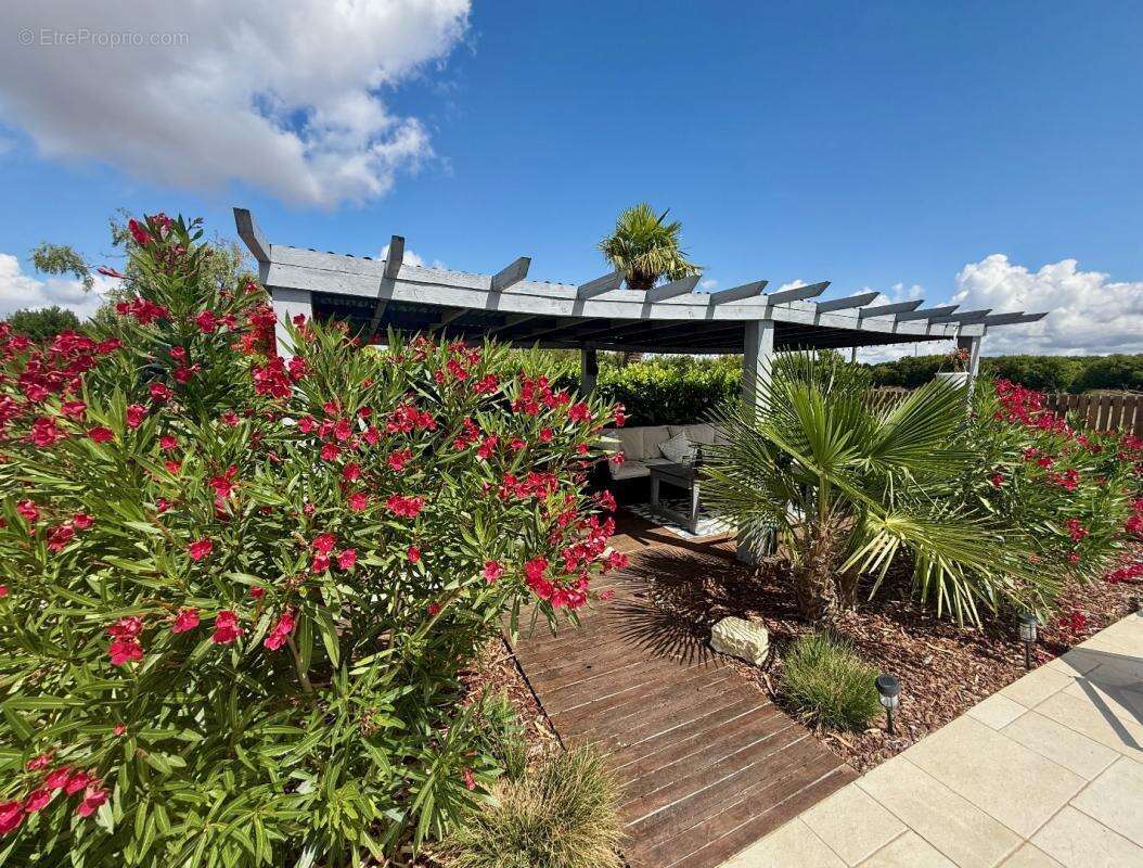 Maison à COUTURE-D&#039;ARGENSON