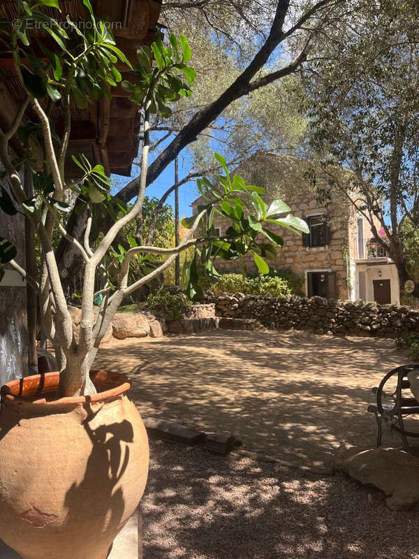 Commerce à PORTO-VECCHIO