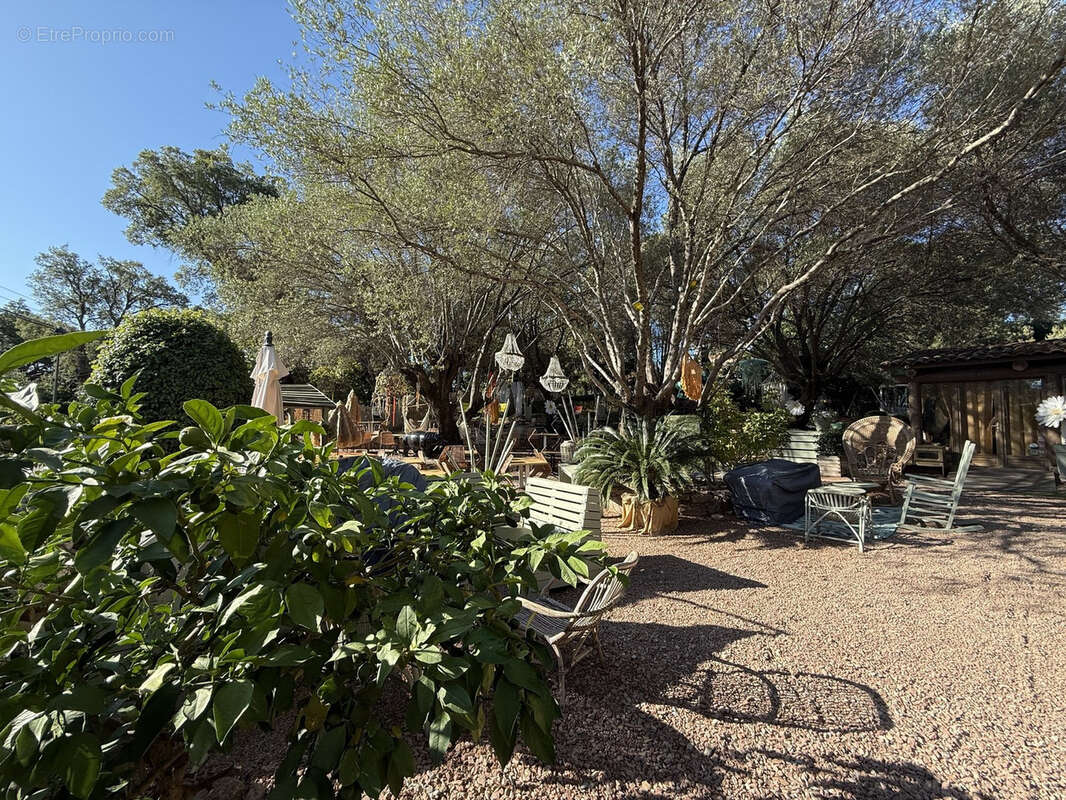 Commerce à PORTO-VECCHIO