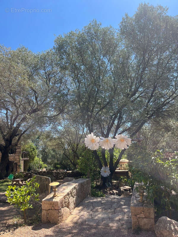 Commerce à PORTO-VECCHIO