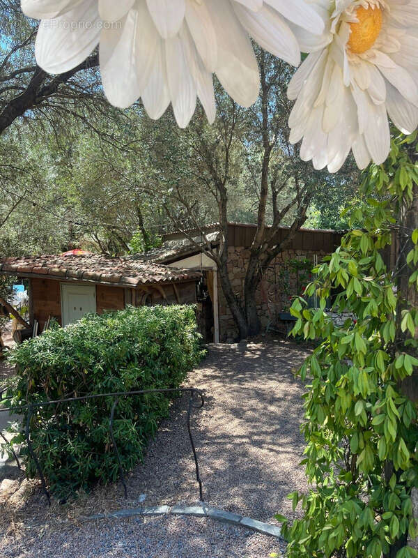 Commerce à PORTO-VECCHIO