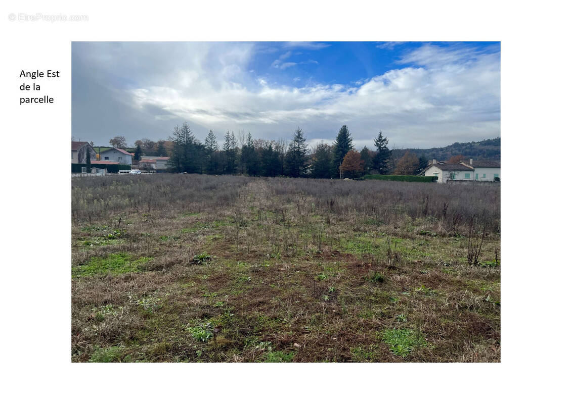 Terrain à BAS-EN-BASSET