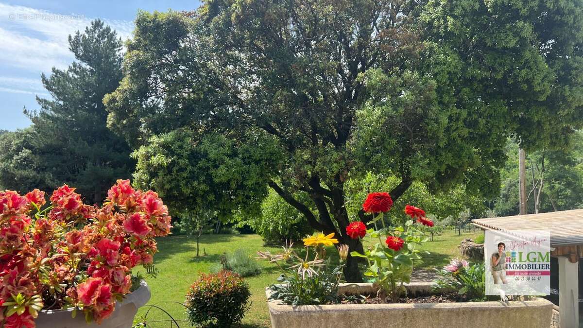 Maison à SAINTE-CROIX-DE-CADERLE