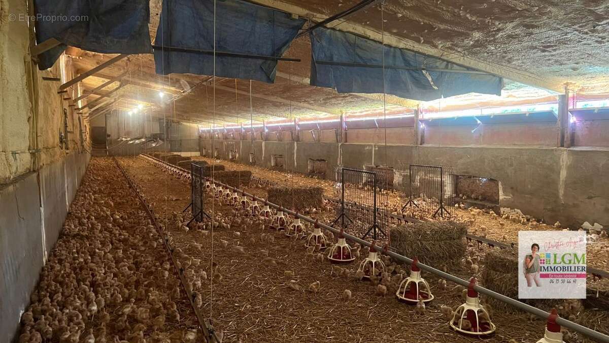 Maison à SAINTE-CROIX-DE-CADERLE