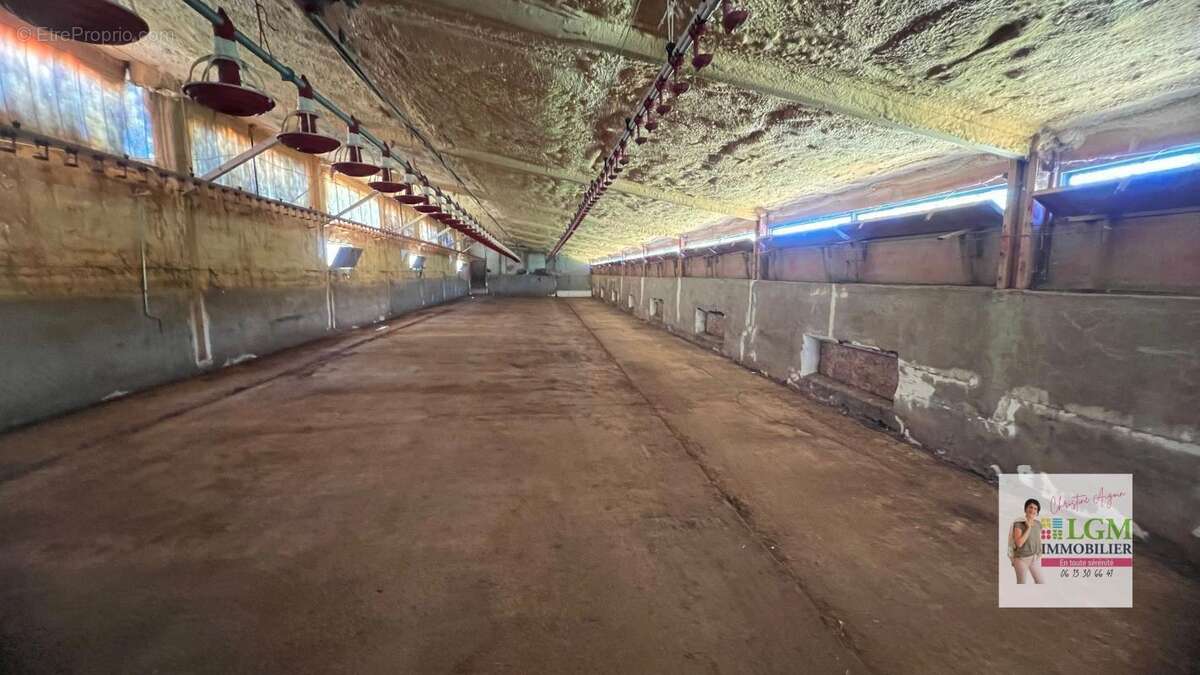 Maison à SAINTE-CROIX-DE-CADERLE