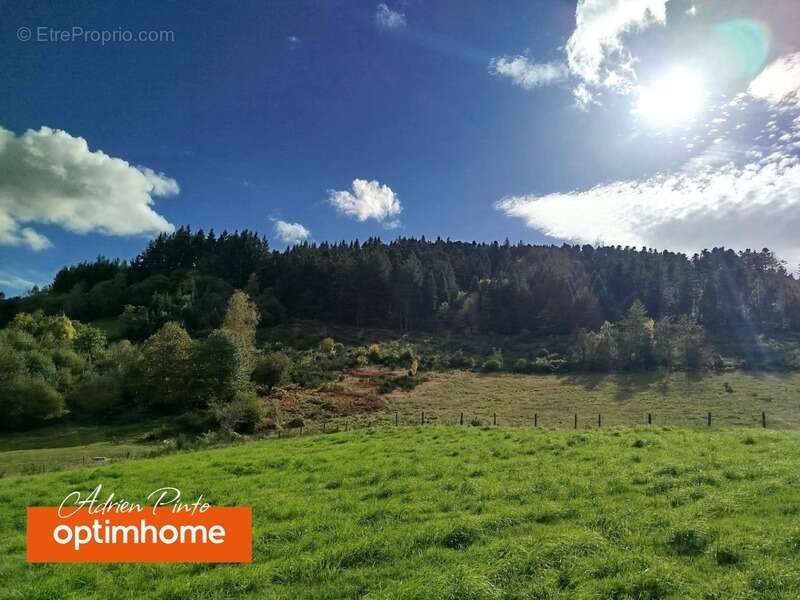 Terrain à CHABRELOCHE