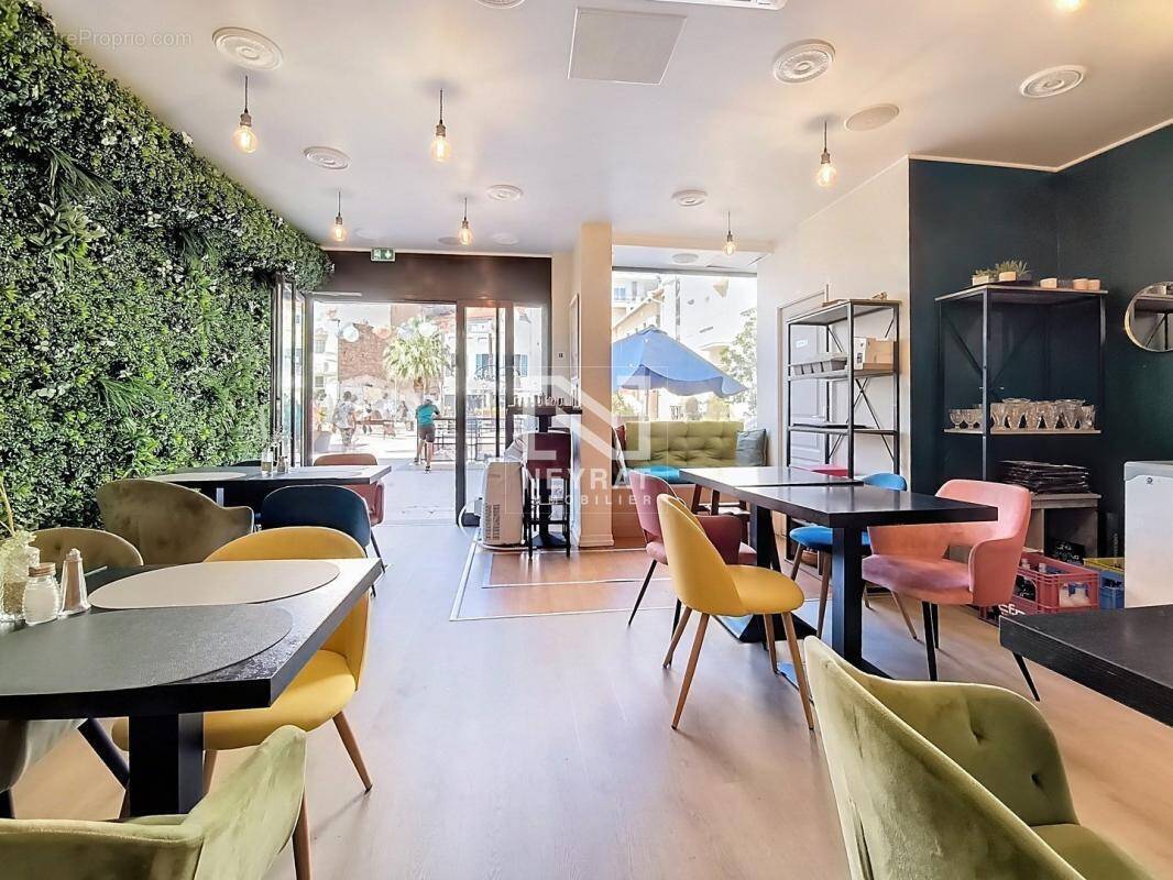 Commerce à SAINT-RAPHAEL