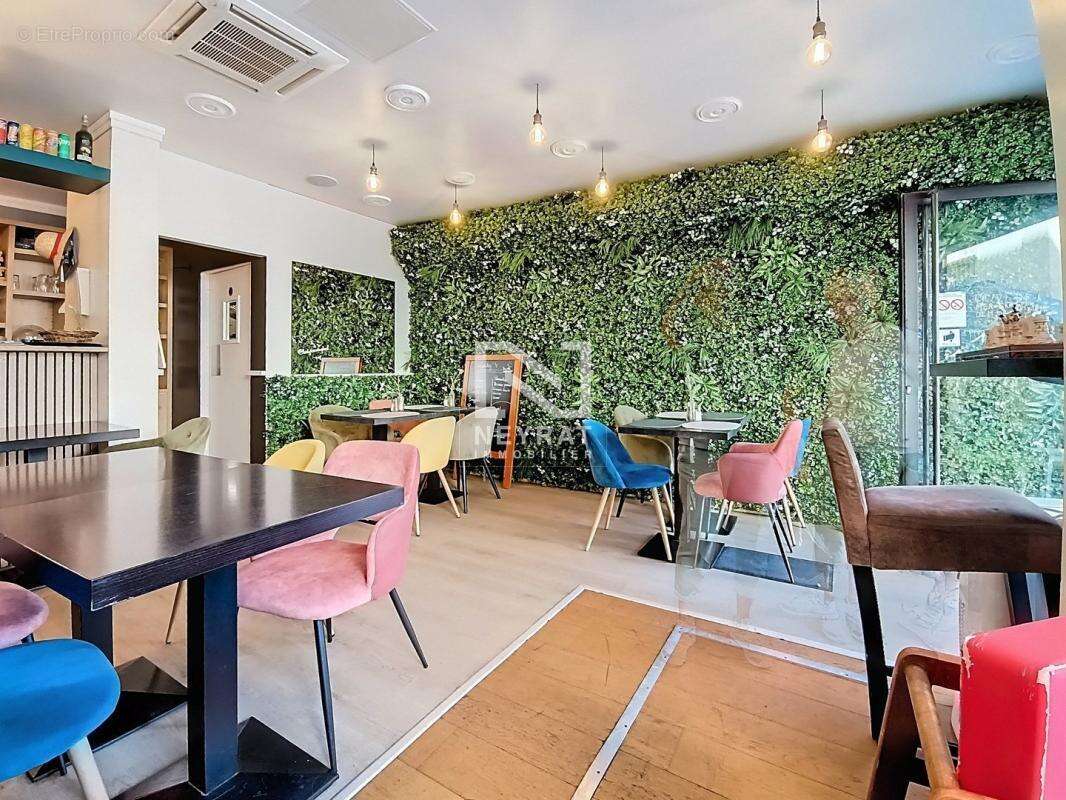 Commerce à SAINT-RAPHAEL