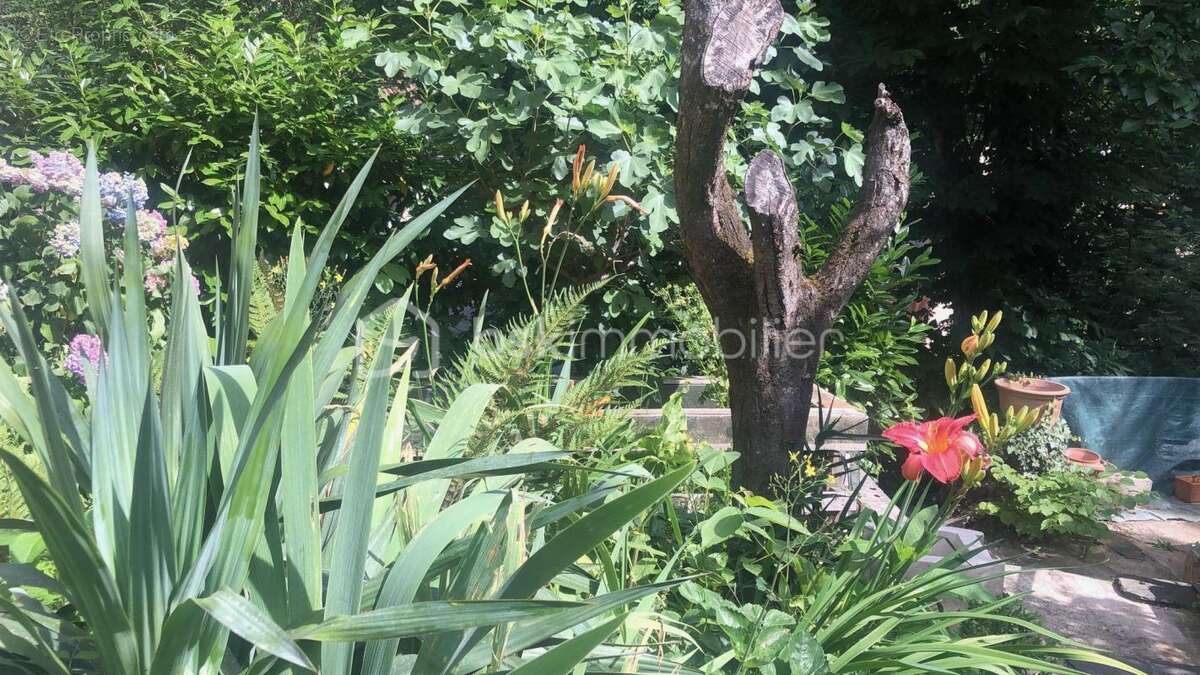 Maison à CUXAC-CABARDES