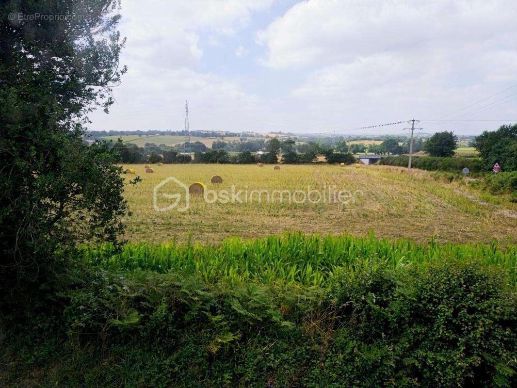 Maison à CHATEAUNEUF-DU-FAOU