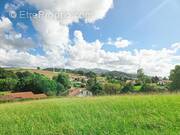 Terrain à HASPARREN