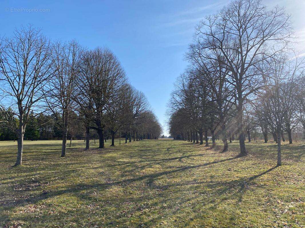 Maison à PRESSIGNY-LES-PINS