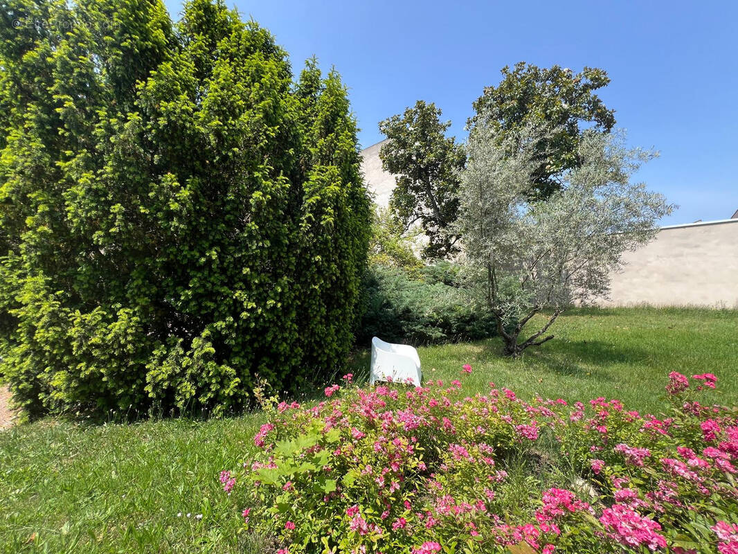 Appartement à ROANNE