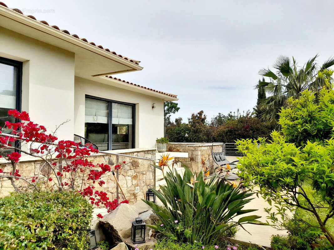 Maison à SARI-SOLENZARA