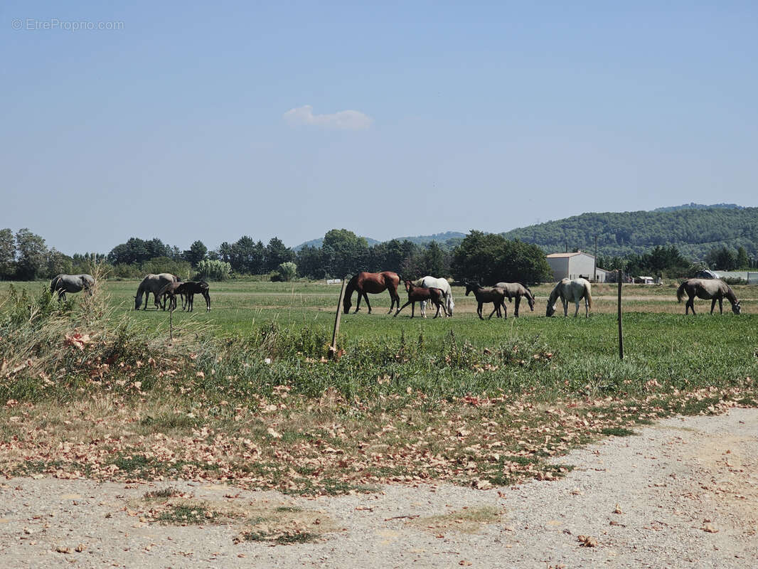 Maison à LA ROQUE-D&#039;ANTHERON