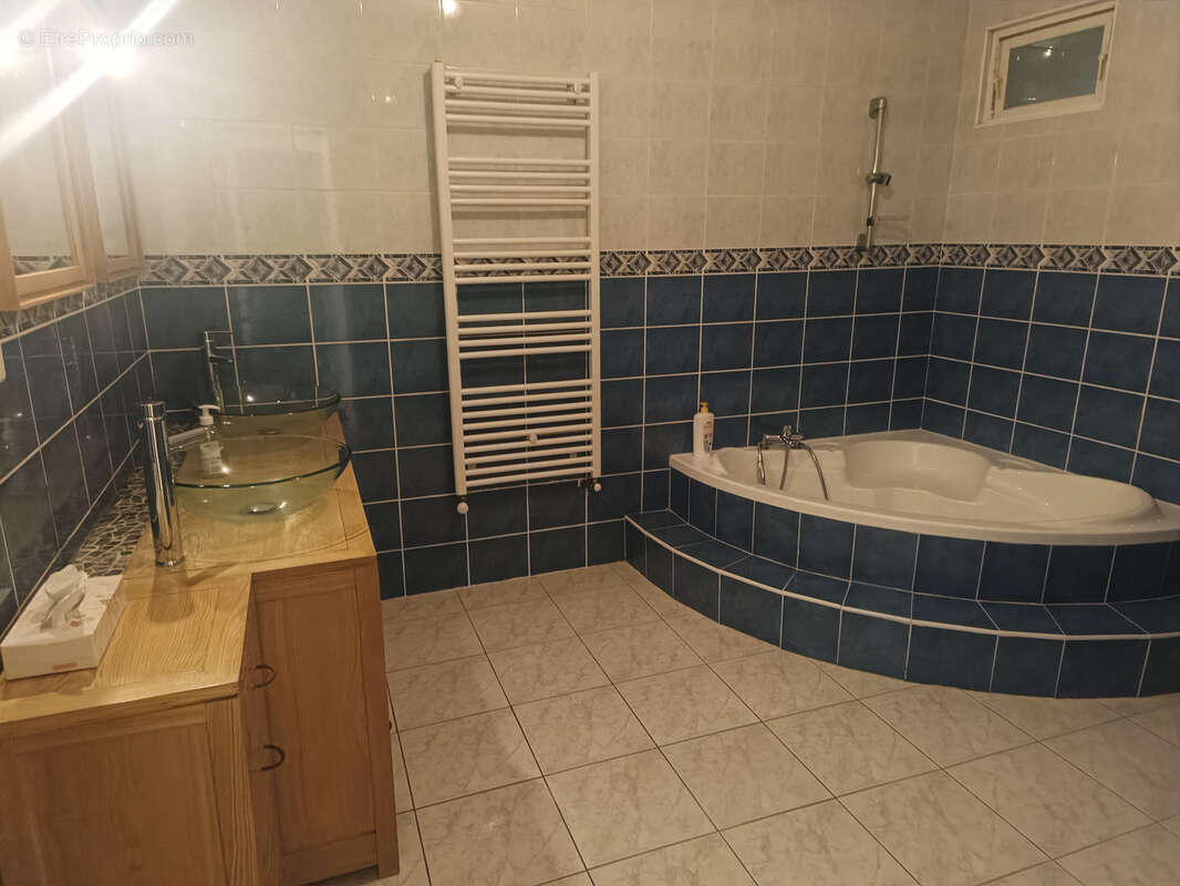 Maison à LE PEAGE-DE-ROUSSILLON