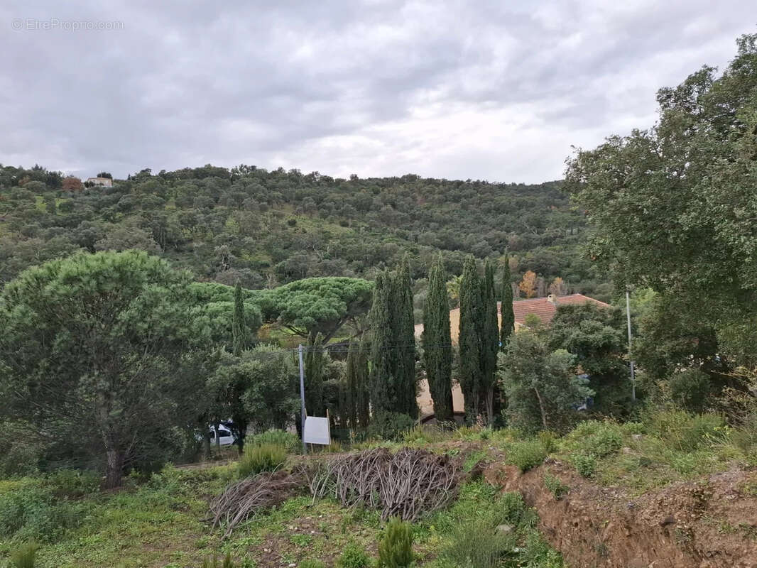 Terrain à LES ISSAMBRES