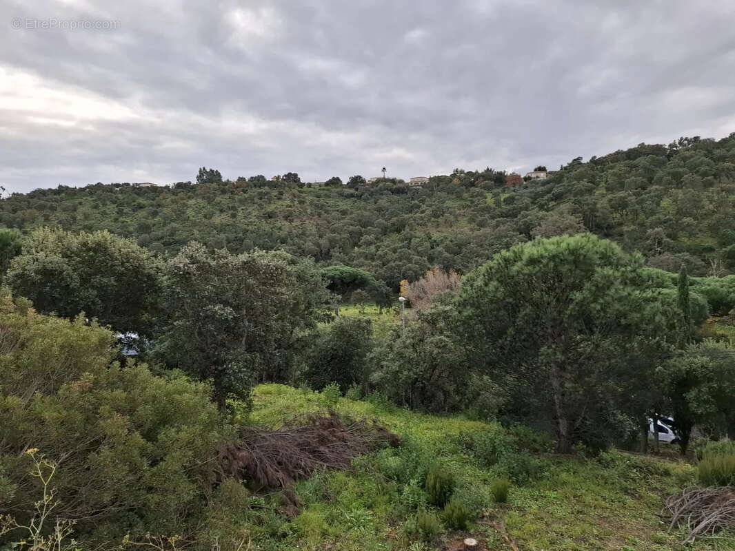 Terrain à LES ISSAMBRES