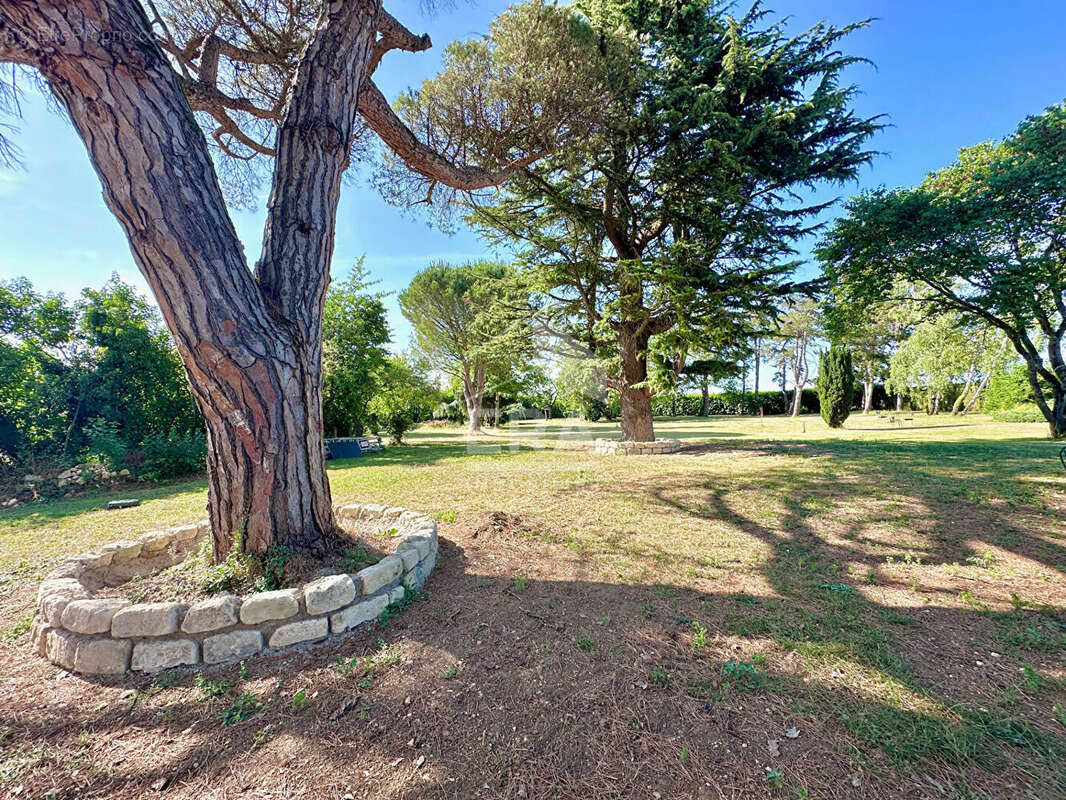 Maison à LA MADELEINE-SUR-LOING