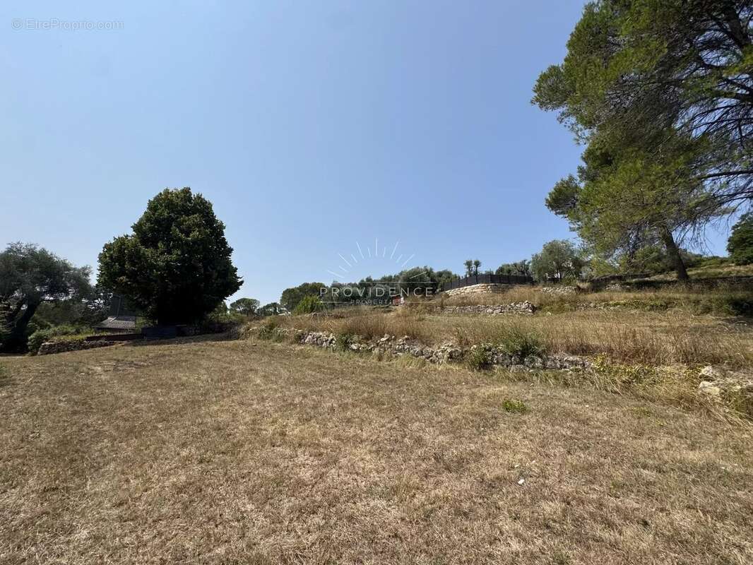 Terrain à MOUGINS