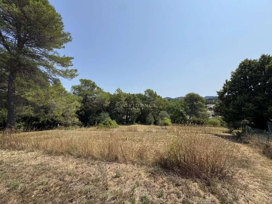 Terrain à MOUGINS