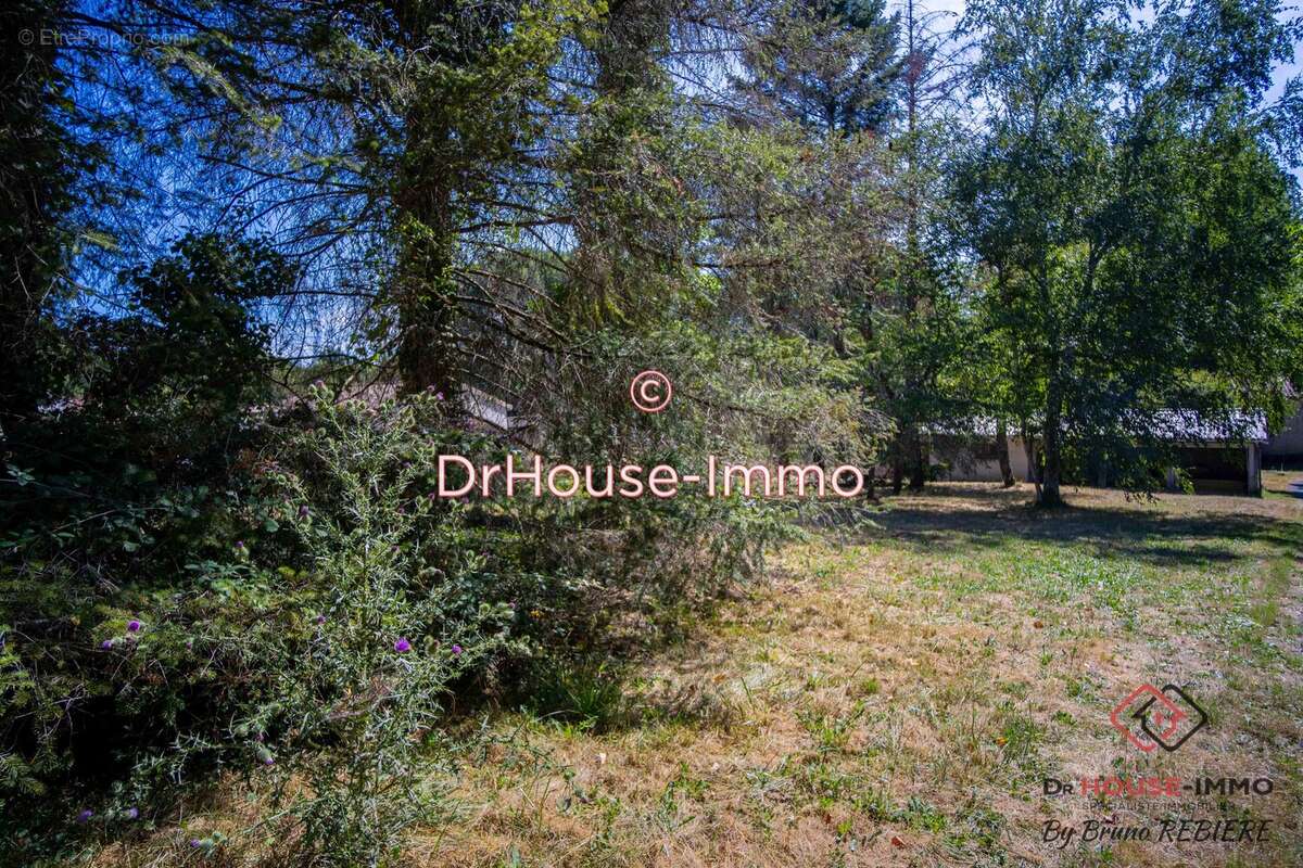 Terrain à SAINT-GERMAIN-DU-SALEMBRE