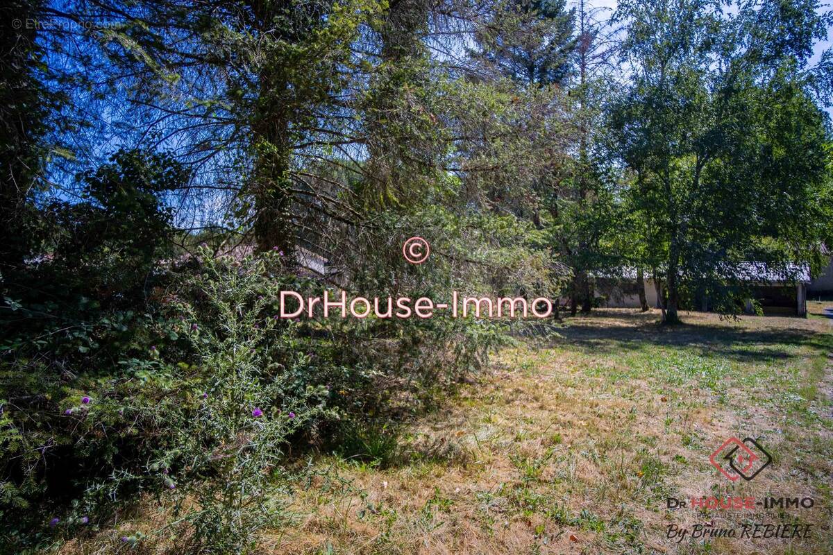 Terrain à SAINT-GERMAIN-DU-SALEMBRE