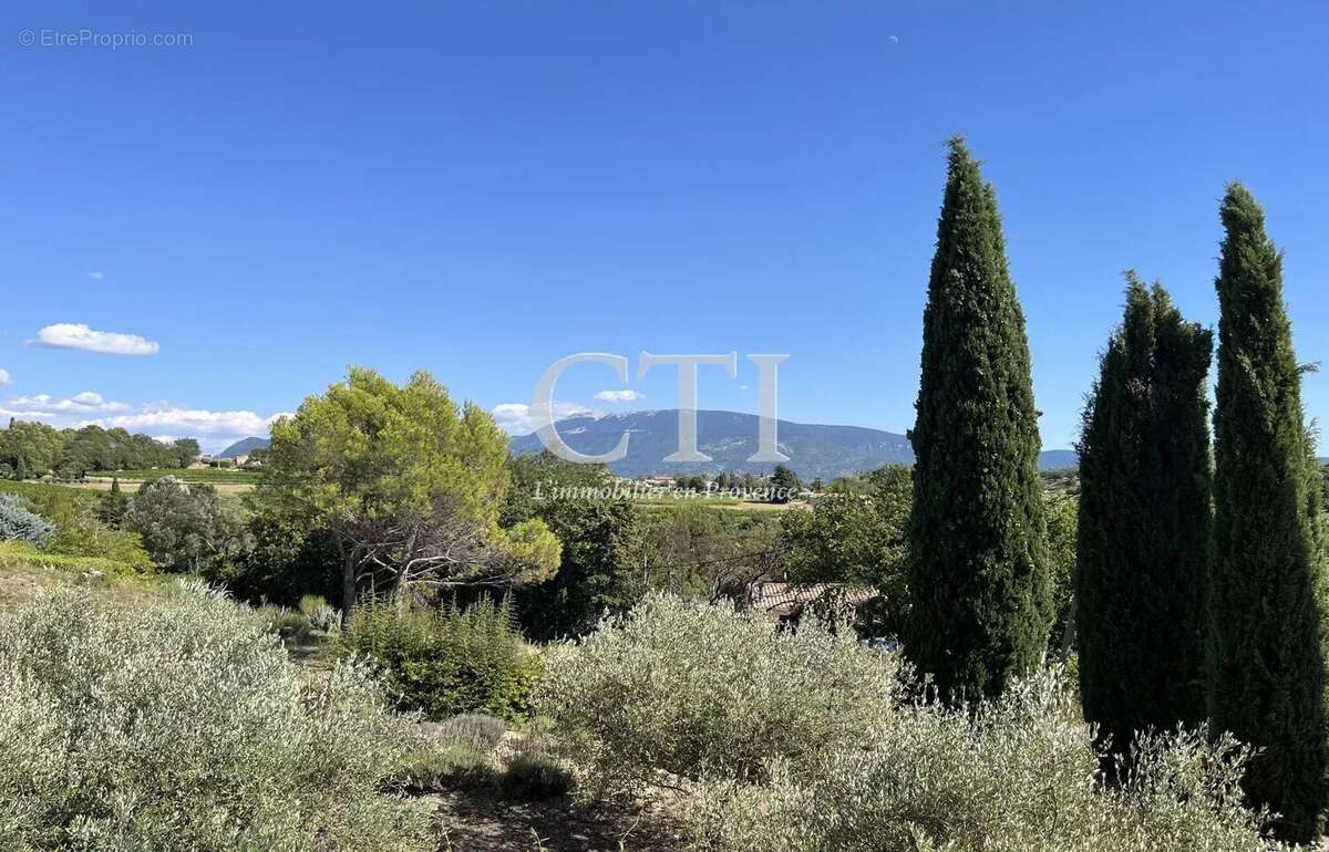 Maison à VAISON-LA-ROMAINE