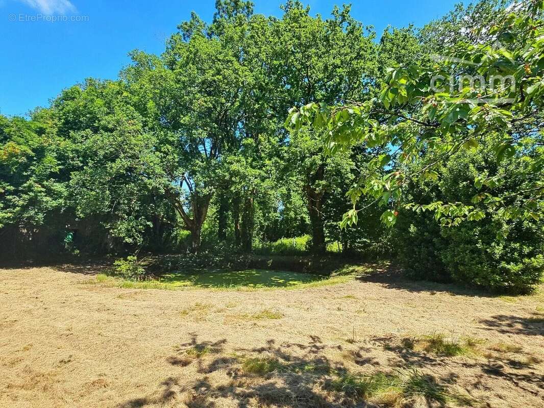 Maison à PONT-SAINT-MARTIN