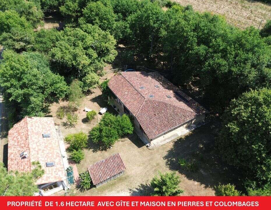 #gîte #landes #maison #propriété #écologie #propriété - Maison à LABASTIDE-D&#039;ARMAGNAC