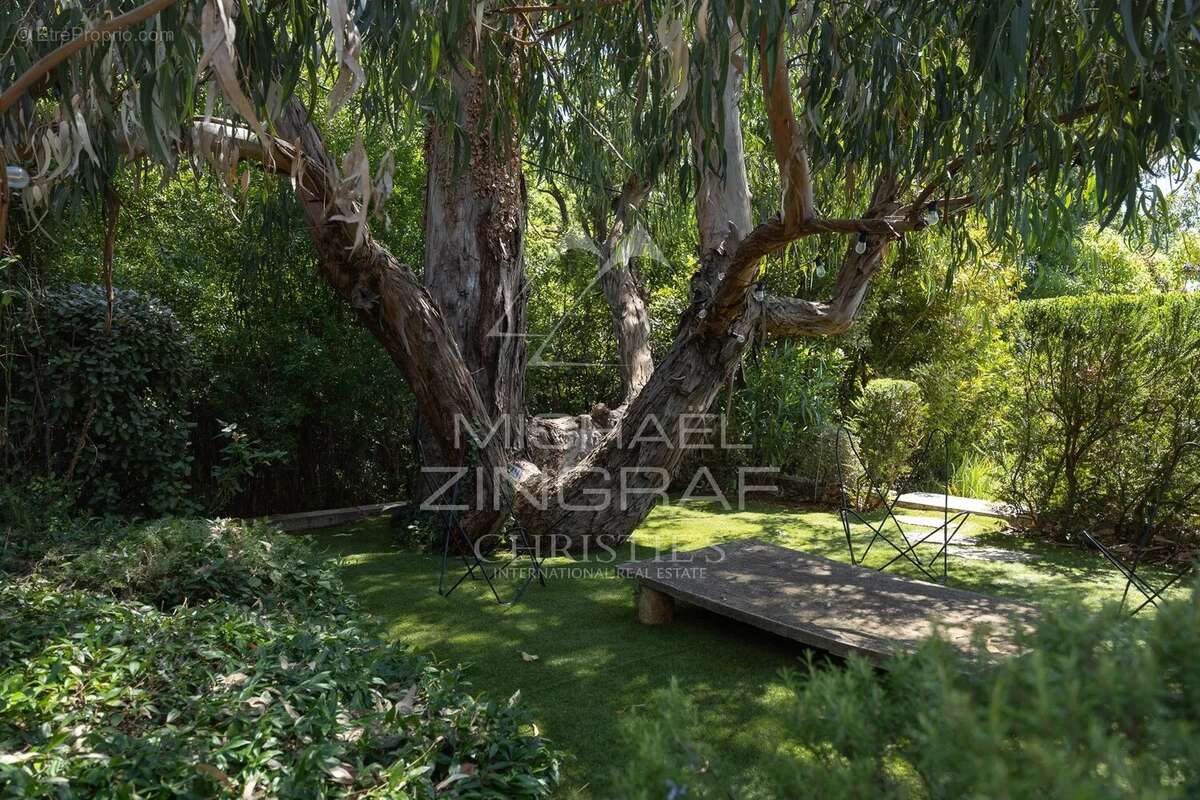 Maison à CHATEAUNEUF-GRASSE