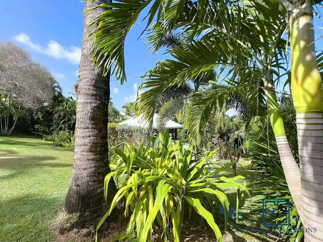 Maison à SAINT-FRANCOIS