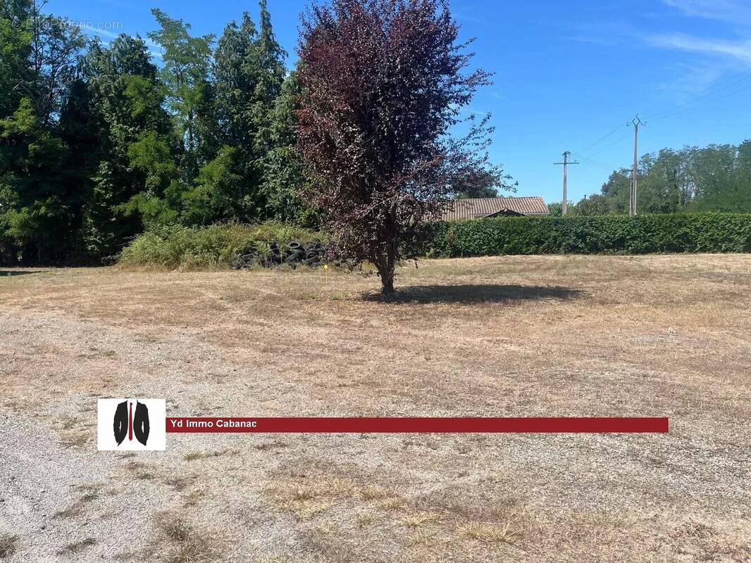 Terrain à SAINT-SYMPHORIEN