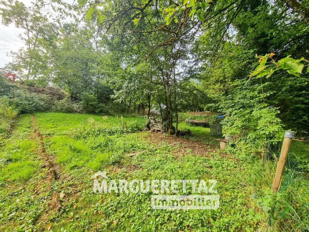 Maison à SAINT-JEOIRE