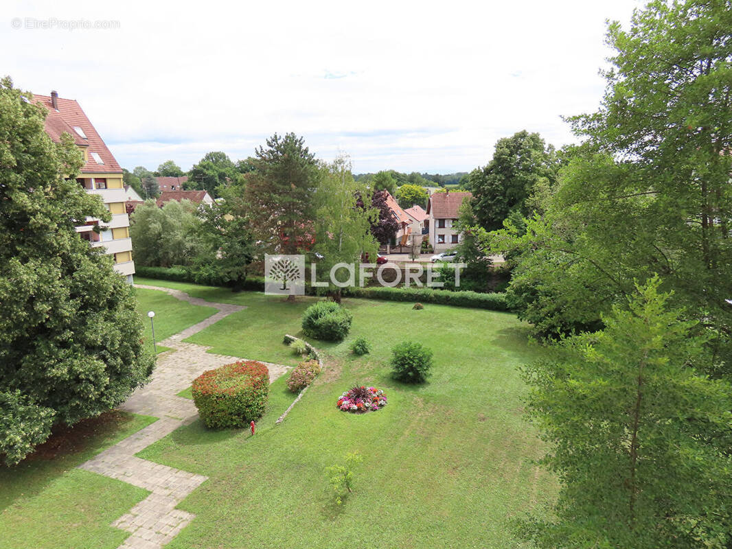 Appartement à BENFELD