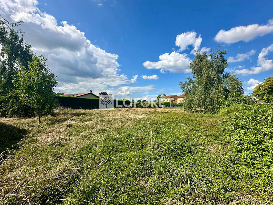 Terrain à SAINT-CYR-SUR-MENTHON