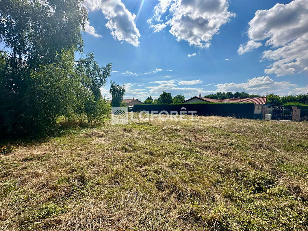 Terrain à SAINT-CYR-SUR-MENTHON
