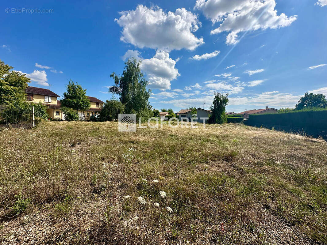 Terrain à SAINT-CYR-SUR-MENTHON