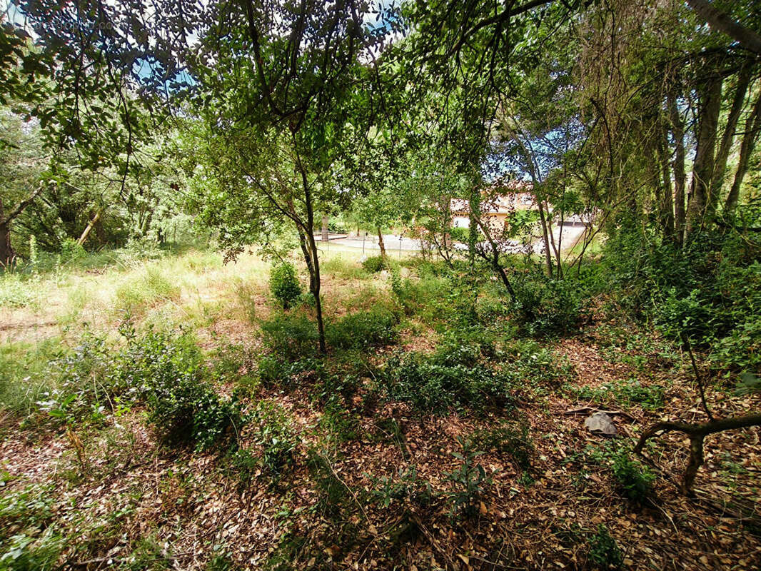 Terrain à MAUREILLAS-LAS-ILLAS