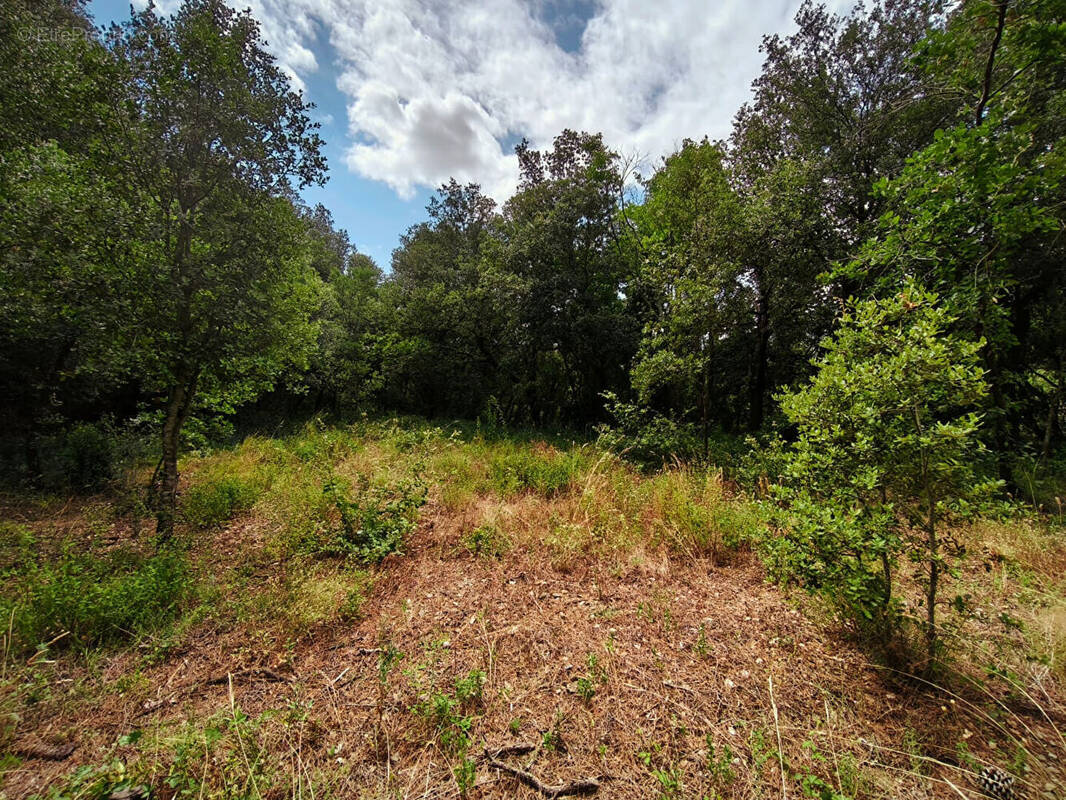 Terrain à MAUREILLAS-LAS-ILLAS