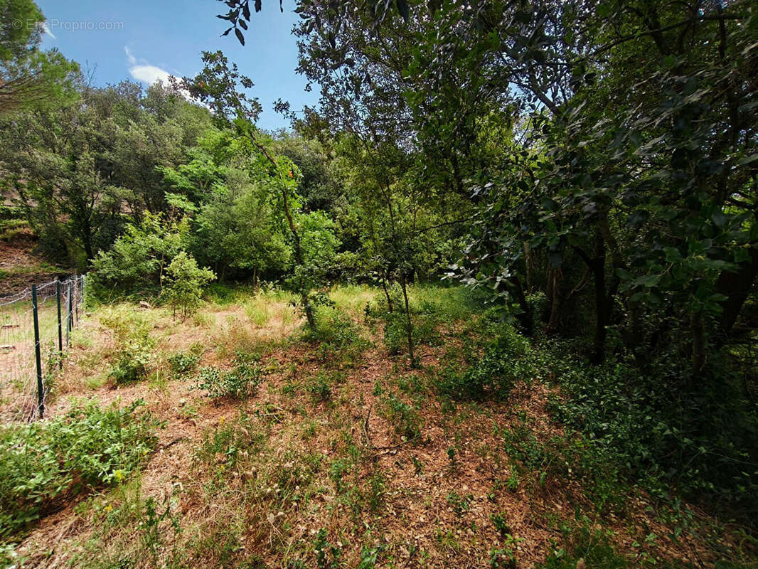 Terrain à MAUREILLAS-LAS-ILLAS