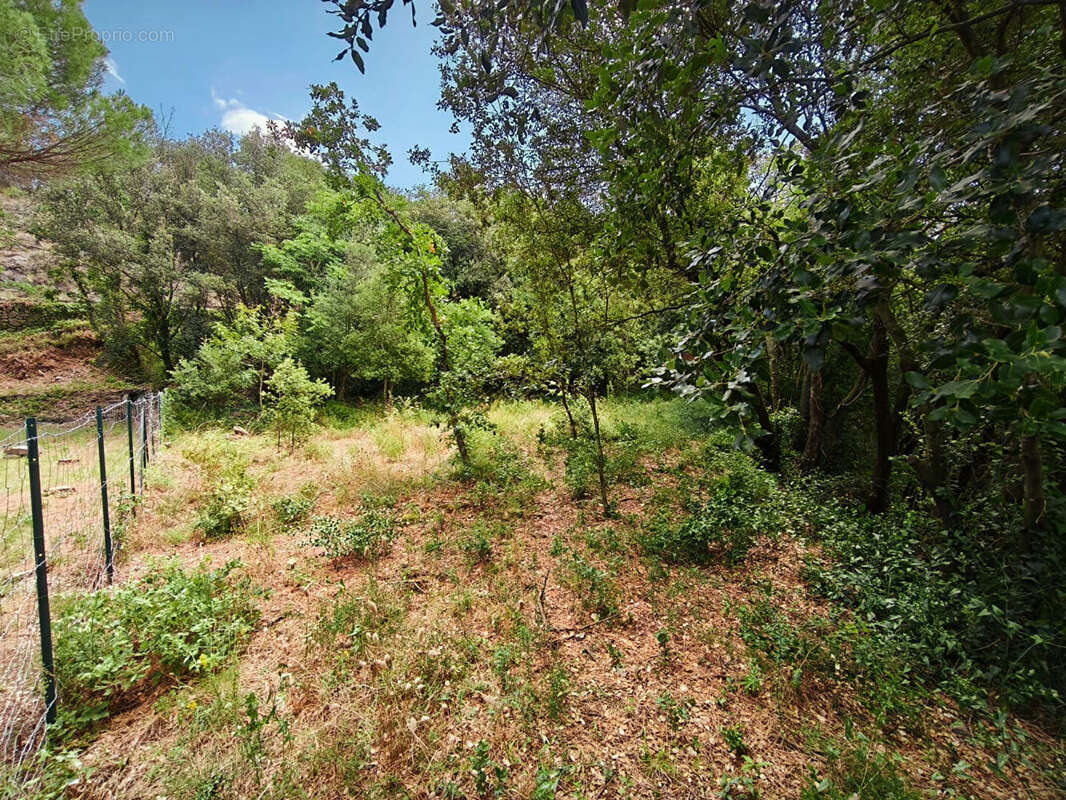 Terrain à MAUREILLAS-LAS-ILLAS