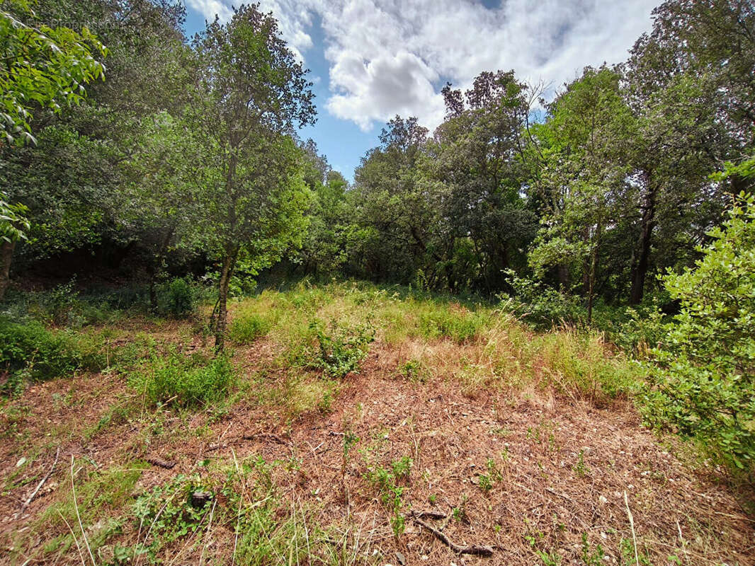 Terrain à MAUREILLAS-LAS-ILLAS
