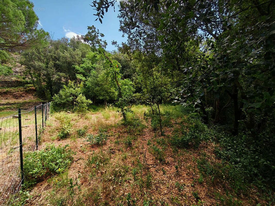 Terrain à MAUREILLAS-LAS-ILLAS